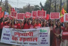 WhatsApp Image 2026 02 12 at 13.17.52