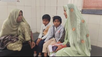 WhatsApp Image 2026 02 14 at 1.33.22 PM