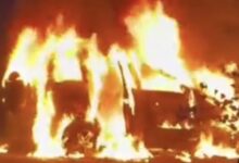 WhatsApp Image 2026 02 14 at 12.40.37