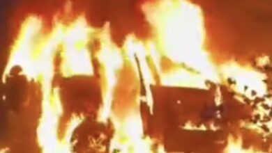 WhatsApp Image 2026 02 14 at 12.40.37