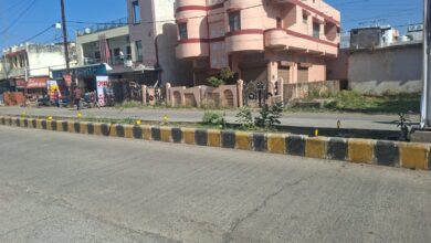 रोड डिवाइडर मेंटेनेंस गुणवत्ता पर सवाल 9 WhatsApp Image 2026 02 16 at 10.00.33 AM 1