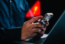 WhatsApp Image 2026 02 22 at 11.22.30