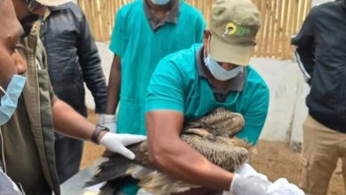 WhatsApp Image 2026 02 23 at 16.32.13