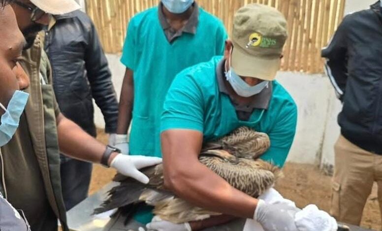 WhatsApp Image 2026 02 23 at 16.32.13