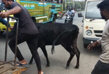 WhatsApp Image 2026 02 23 at 17.18.12