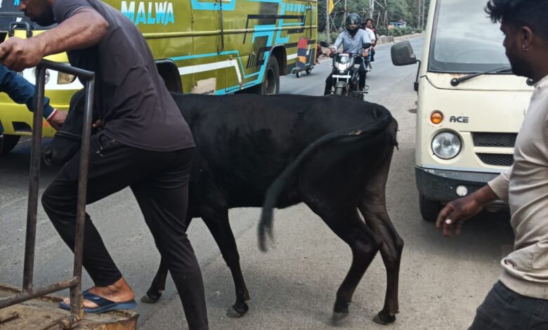 WhatsApp Image 2026 02 23 at 17.18.12