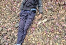 WhatsApp Image 2026 02 25 at 12.19.47 1