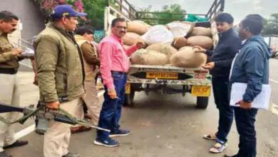 WhatsApp Image 2026 02 28 at 11.31.41