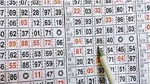 अमराई के खंडहर में सट्टा अड्डे पर पुलिस की दबिश, 7 सटोरिये गिरफ्तार 1 images 2