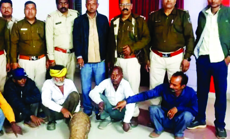 पैंगोलिन तस्करी मामले में आधा दर्जन आरोपी गिरफ्तार, दक्षिण वन मंडल ने वन्य जीव तस्करों पर की कार्रवाई, दो पैंगोलिन को कराया मुक्त 1 van vibhag