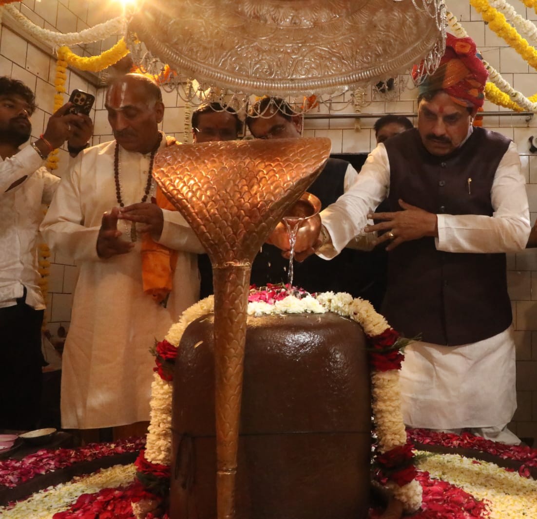 IMG 20260314 WA10882