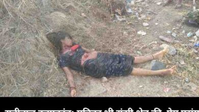 IMG 20260312 014414 1