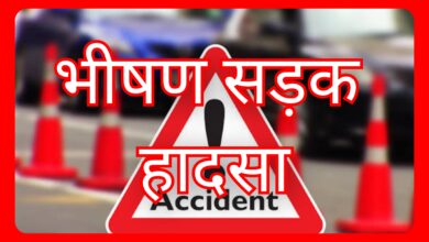 InCollage 20260216 150128574