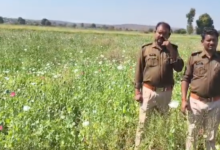 Screenshot 20260301 165943.WhatsApp