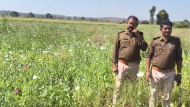 Screenshot 20260301 165943.WhatsApp