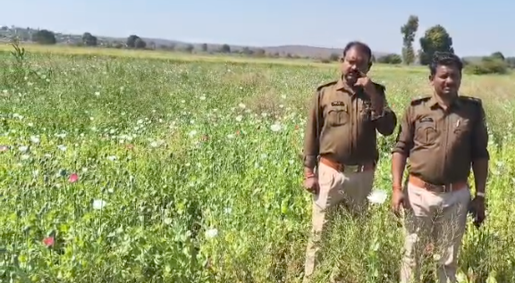 Screenshot 20260301 165943.WhatsApp