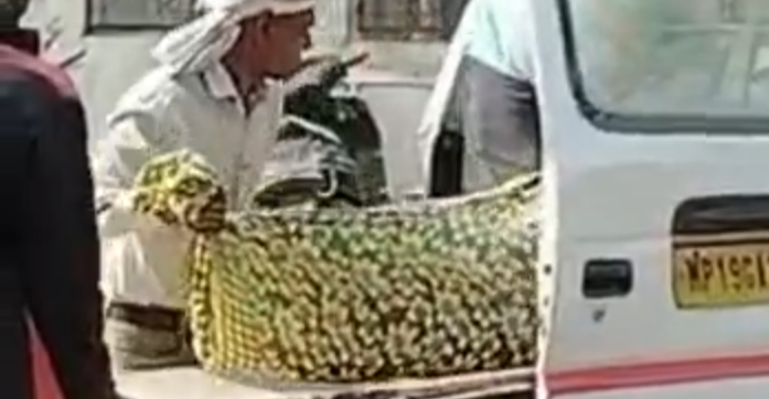 Screenshot 20260309 140453.Dainik Bhaskar