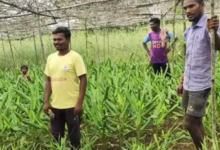 Screenshot 20260309 152355.WhatsApp