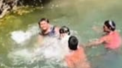 Screenshot 20260312 174133.WhatsApp