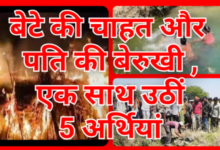 Screenshot 20260313 095338.Gallery