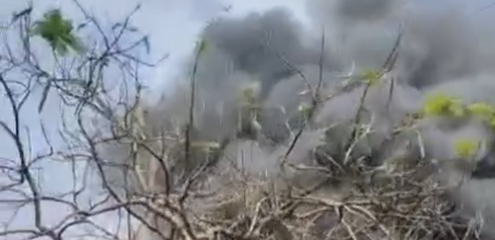 Screenshot 20260316 151847.WhatsApp