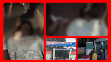 Screenshot 20260322 084656.Gallery