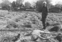 Screenshot 20260329 173157.WhatsApp