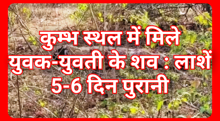 Screenshot 20260331 091746.Gallery