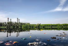 दूषित पानी पीने से 400 से अधिक लोग बीमार, जलवाहिनी में मिला मृत कबूतर 10 Untitled 2 copy 3