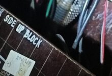 WhatsApp Image 2026 03 01 at 5.11.54 PM