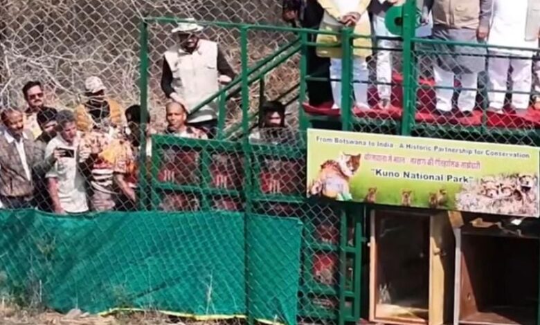 WhatsApp Image 2026 03 02 at 09.58.58