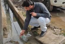 WhatsApp Image 2026 03 03 at 09.31.27