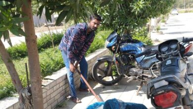 आवारा श्वानों पर निगम की कार्रवाई, 71 पकड़े 11 WhatsApp Image 2026 03 03 at 09.58.19