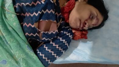 WhatsApp Image 2026 03 06 at 15.54.15