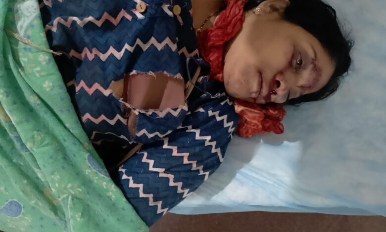 WhatsApp Image 2026 03 06 at 15.54.15