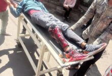 WhatsApp Image 2026 03 07 at 15.51.27