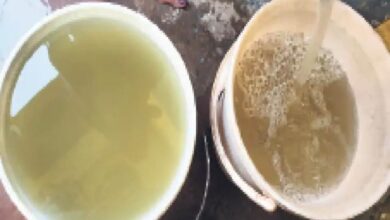 WhatsApp Image 2026 03 09 at 11.45.04