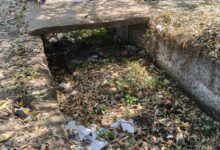 WhatsApp Image 2026 03 10 at 10.45.32