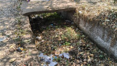 WhatsApp Image 2026 03 10 at 10.45.32