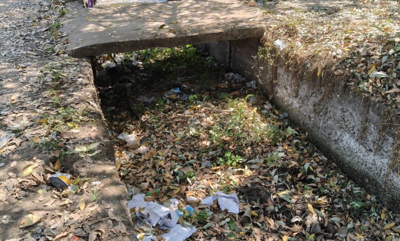 WhatsApp Image 2026 03 10 at 10.45.32