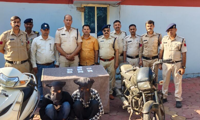 WhatsApp Image 2026 03 11 at 12.01.39