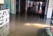 WhatsApp Image 2026 03 11 at 13.15.07