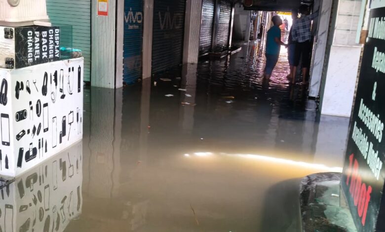 WhatsApp Image 2026 03 11 at 13.15.07