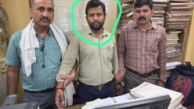 WhatsApp Image 2026 03 17 at 14.08.02