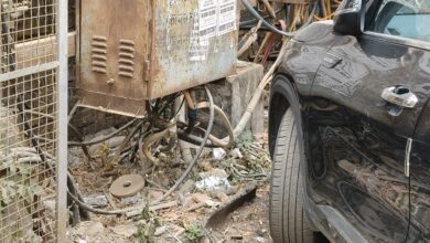 WhatsApp Image 2026 03 21 at 11.51.17