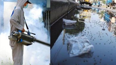 मच्छरों का आतंक, लोग परेशान, स्वास्थ्य विभाग ने कसी कमर, फॉगिंग शुरू 7 WhatsApp Image 2026 03 22 at 15.11.12