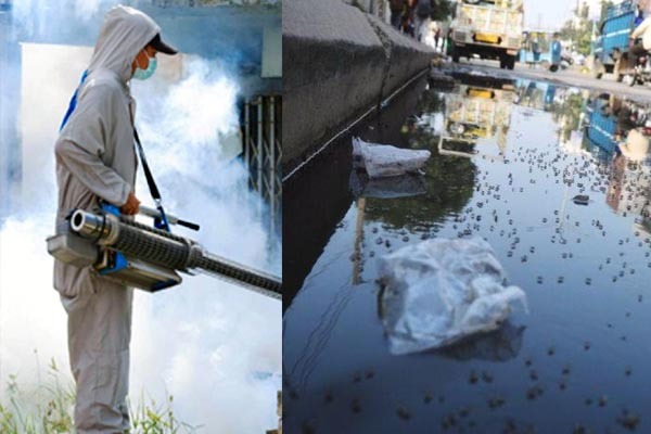 WhatsApp Image 2026 03 22 at 15.11.12