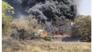 भिवंडी तालुका के भंगार गोदाम में लगी भीषण आग,दो गोदाम आग में जल कर खाक 3 WhatsApp Image 2026 03 23 at 15.35.52