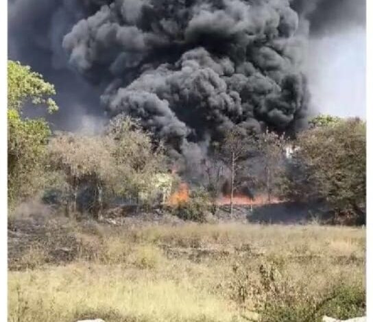 WhatsApp Image 2026 03 23 at 15.35.52