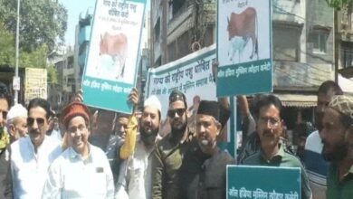 WhatsApp Image 2026 03 24 at 13.43.54